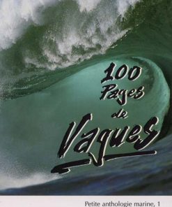 Couverture du livre 100 pages de vagues par Hugo Verlomme