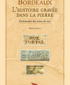 Couverture du livre Bordeaux, l'histoire gravée dans la pierre par Michel Colle