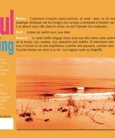 Dos du livre photo Soul Surfing Yannick Le Toquin