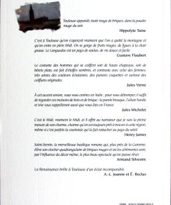 résumé du livre Voyage à Toulouse