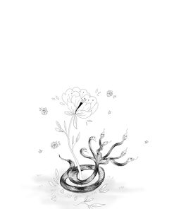 contes récits légendes basques tome 1 page 13