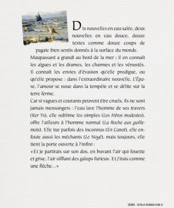 Résumé du livre de nouvelles la mer, l'amour, l'amer - Maupassant