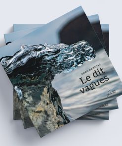 Le dit vagues Gregory Rabejac aux Éditions Arteaz