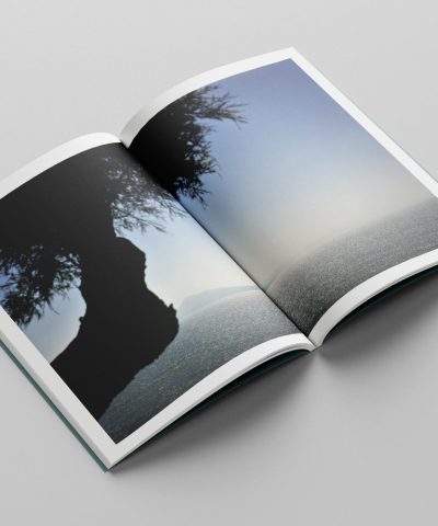 aperçu du livre Tamaris pages Cesar Ancelle Hansen