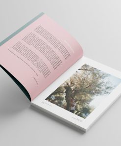 Page intérieures livre Tamaris - Franck Cazenave