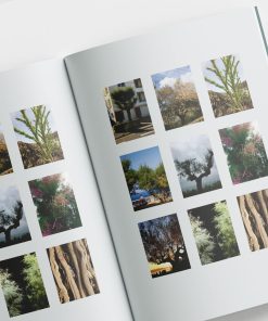 Pages intérieures du livre Tamaris de Franck Cazenave