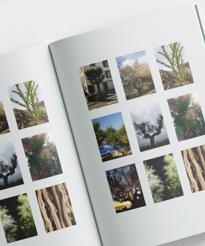 Pages intérieures du livre Tamaris de Franck Cazenave