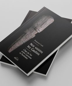 Alternative view of Nos voisins les Gaulois