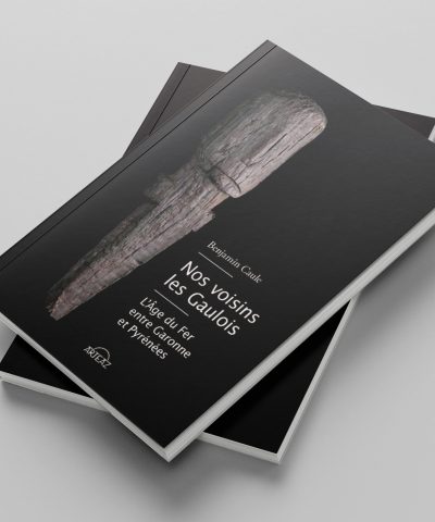 Alternative view of Nos voisins les Gaulois - l'Âge de fer entre Garonne et Pyrénées