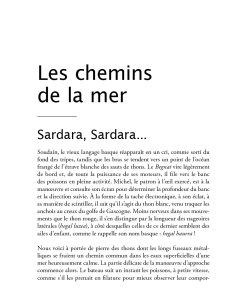 Océaniques le Pays basque et la mer Claude Dendaletche page 15