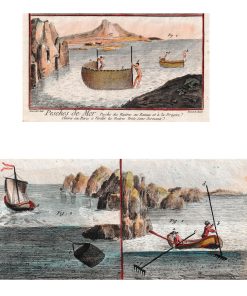 Cailloux vivants, la Saga de l'huître - page 55 gravures