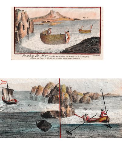 Cailloux vivants, la Saga de l'huître - page 55 gravures