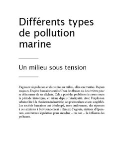 livre sur la pollution de la Côte basque Y'a qu'à faut qu'on page 35
