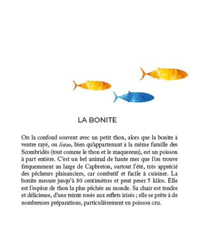 introduction à la bonite du Gouf