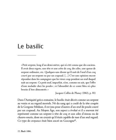 Créatures fantastiques et sorcellerie en Gironde – Image 10
